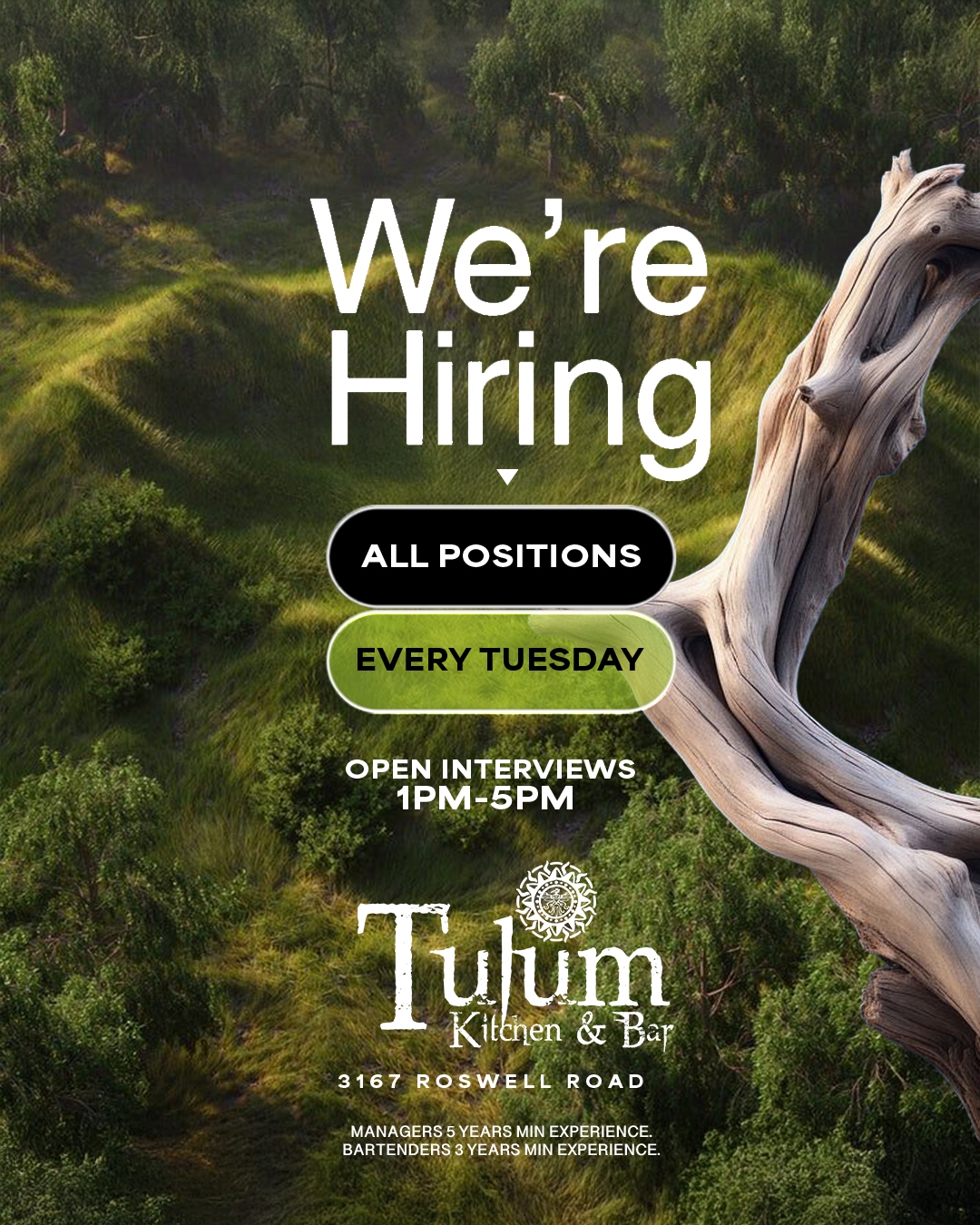 Tulum Hiring V1